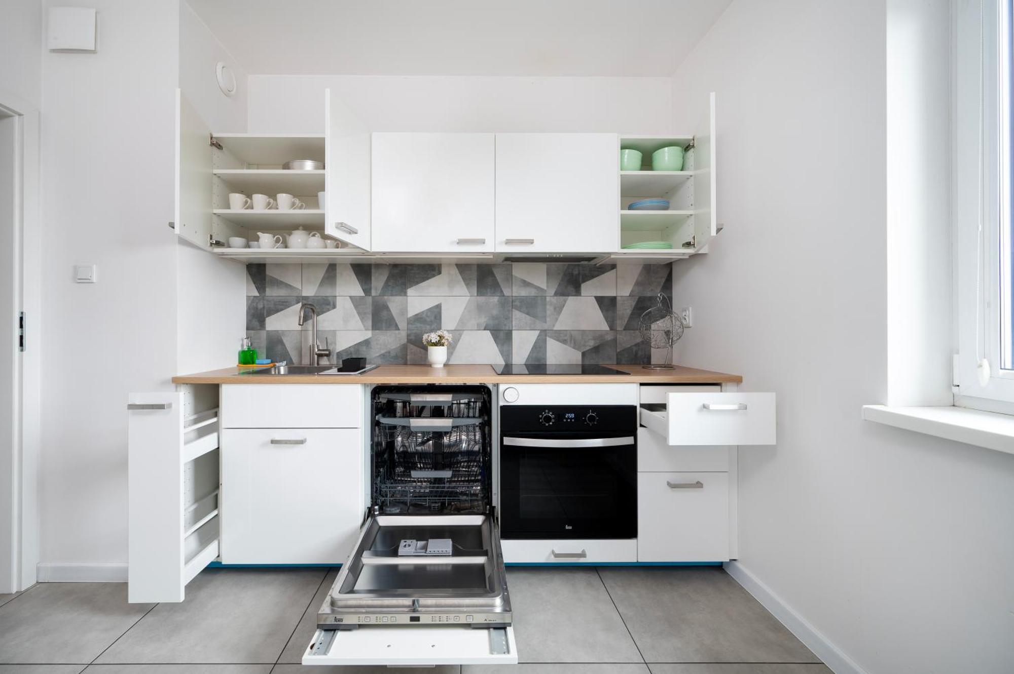 Apartment Polesie Homely Lodz (Lodz)